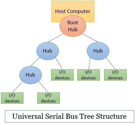 Answer Image